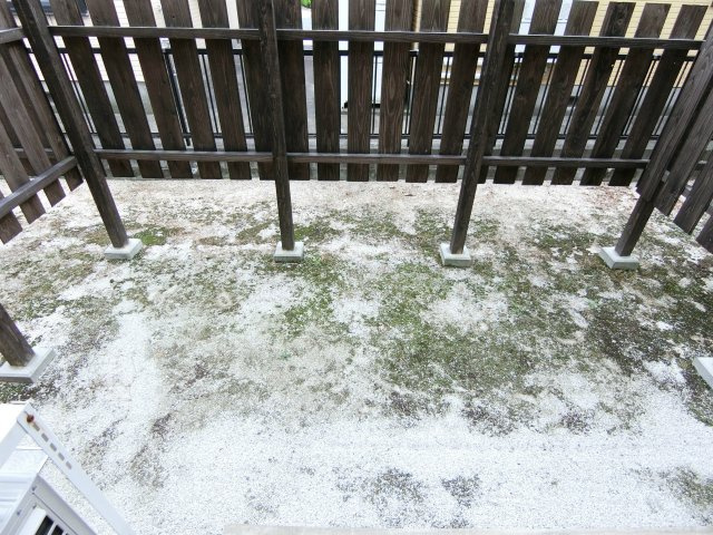 グリーンヒルハイツの庭