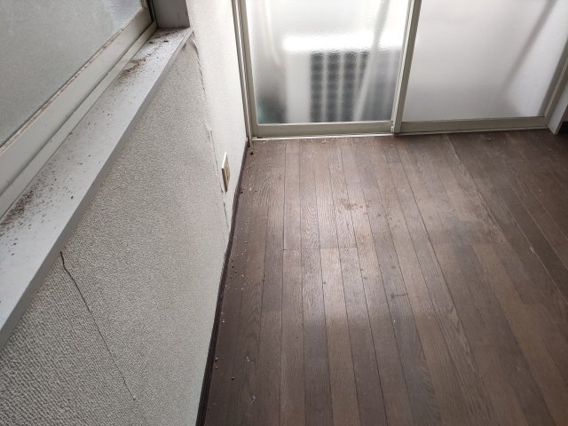 飯塚市立岩 1棟アパートのその他