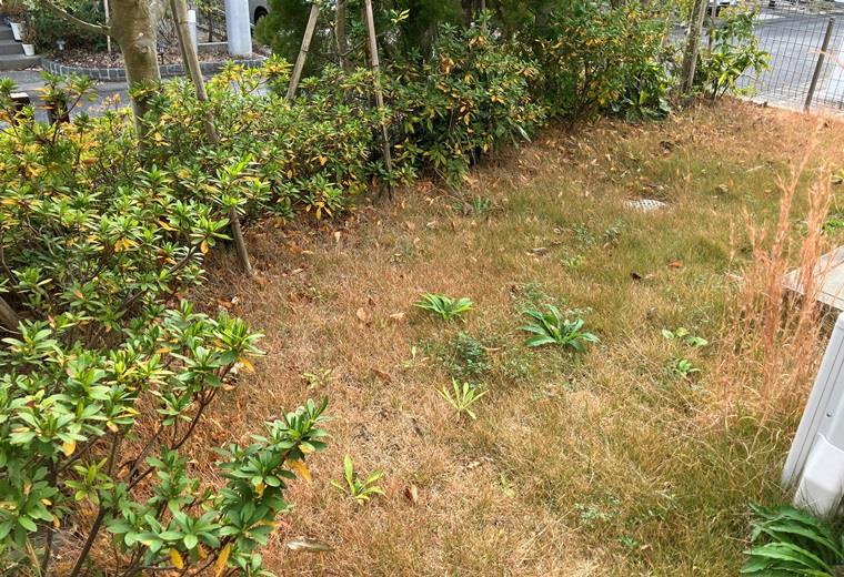 手賀の杜戸建の庭