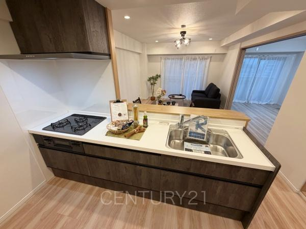 エクレール高崎のキッチン|シンクも大きく洗い物もしやすい浄水器付。シャワーヘッドは引き出し可能、シンクの隅々まで洗い流せます。
食器洗い乾燥機付きです。