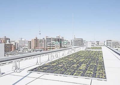  | グランド・ガーラ大島