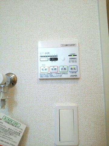 ＶＥＮＥＺＩＡ　ＲＯＳＡのその他