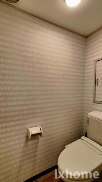 天王タウンハイツのトイレ|トイレもきれいです