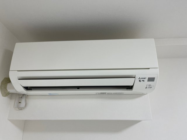 Searex県立大学のその他