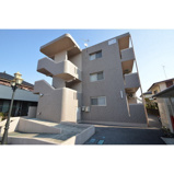 Ｙ＆Ｍカミューの画像