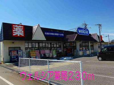 【周辺】 | クリスタルＡ | ウェルシア薬局まで230m