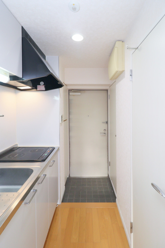 サヴォイグランデス　3階の玄関|別号室のものになります。現状優先。