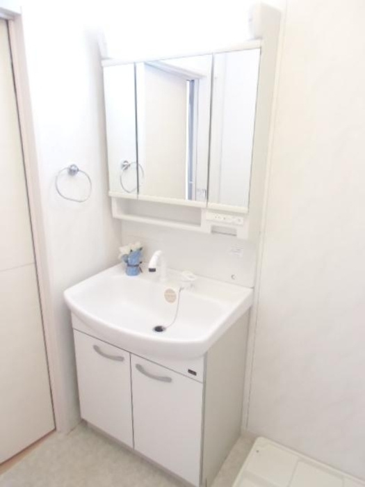 リビングタウン飯岡新田Ⅱの洗面所