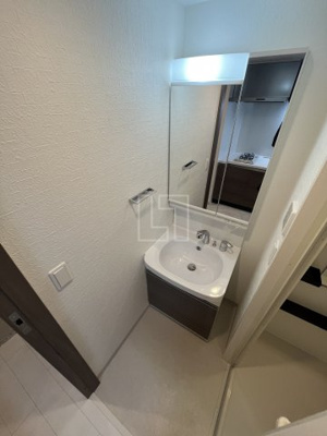 【洗面所】 | エステムコート難波サウスプレイスⅦリアン | エステムコート難波サウスプレイスVIIリアン　洗面所