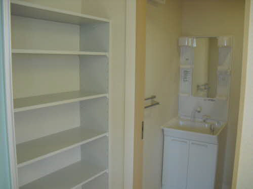 セントラヴィーヌ山手Ⅳの洗面所