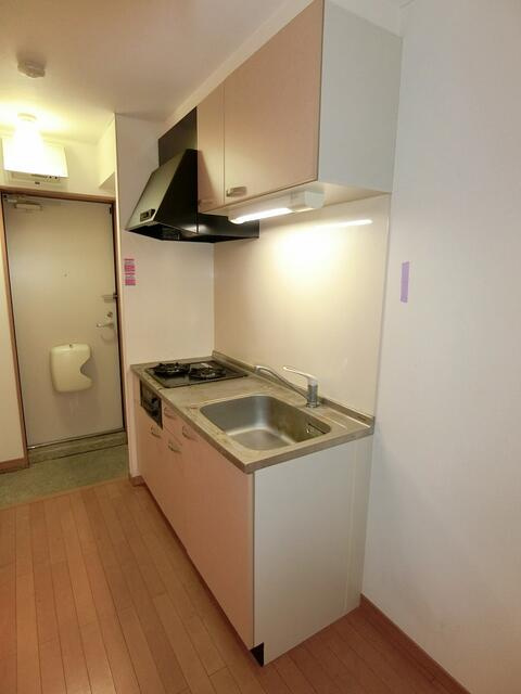 川崎市多摩区宿河原７丁目の賃貸マンションのキッチン