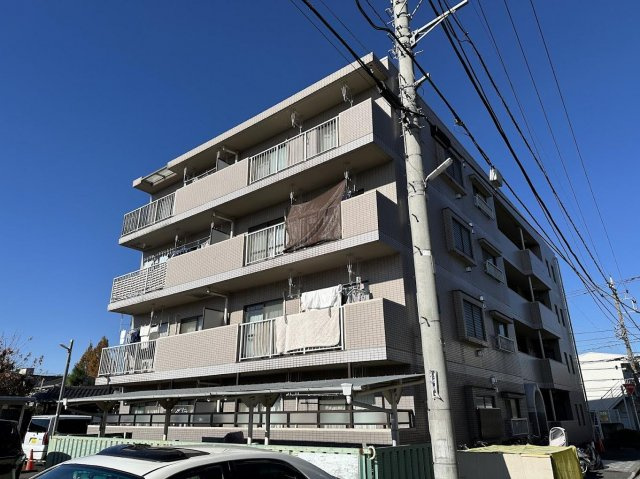 プリムローズ若海