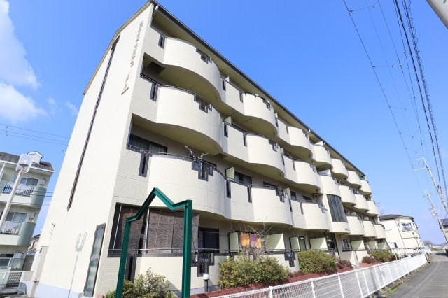 ＰＡＤＤＹＦＩＥＬＤ２１