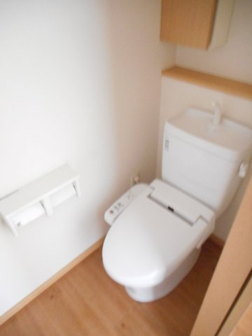 落ち着いた色調のトイレです