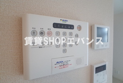  | ever green（エヴァーグリーン）