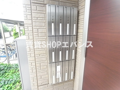  | ever green（エヴァーグリーン）