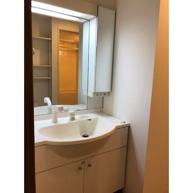 シティテラス田町の独立洗面台