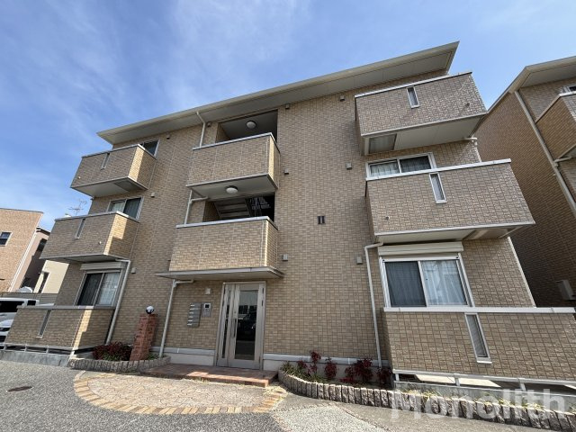 コーダ・コリーナⅡ