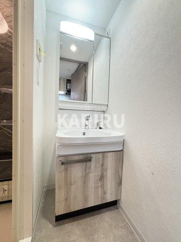 プレサンス鶴橋トレヴィエの洗面所