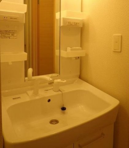 ブレイスの洗面所