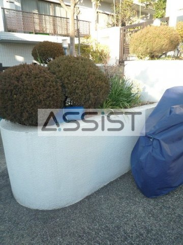 サンライズのその他