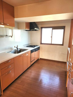 【キッチン】 | パレスＭ | 5F