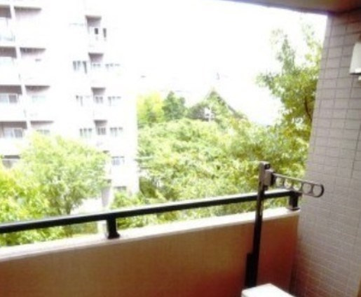 エヴァーグリーンの展望