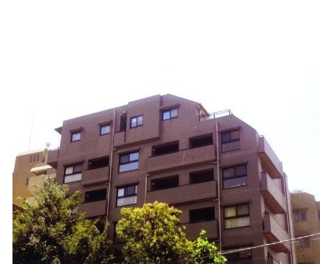 エヴァーグリーン