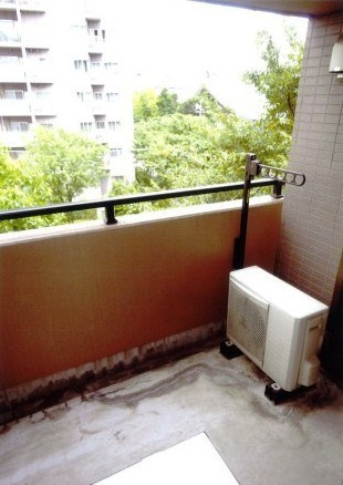 エヴァーグリーンのバルコニー