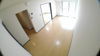 クレイノＡｒｉｎｏⅡの居間・リビング|明るい日差しが差し込む広い洋室