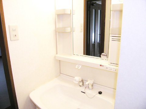 セーヌ東岸和田の洗面所|広い洗面スペース