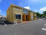 プリムローズ　Ａの画像