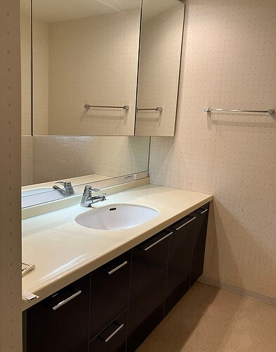 グローリオ杉並宮前の洗面所|洗面化粧台