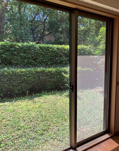 グローリオ杉並宮前のその他|庭　別角度