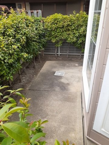 ビイラ・ファインＢの庭