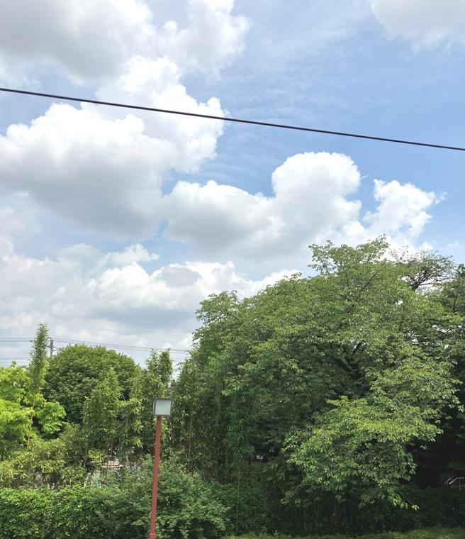 吉祥寺北町戸建の展望