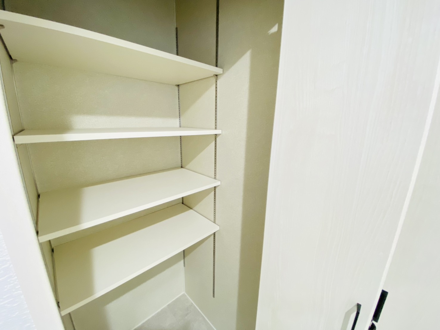 瑞穂市 別府（穂積駅） 3階建 の収納|洗面所収納