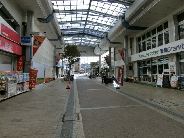 新潟市中央区本町通6番町【サンジェーヌ本町】のその他|前面道路