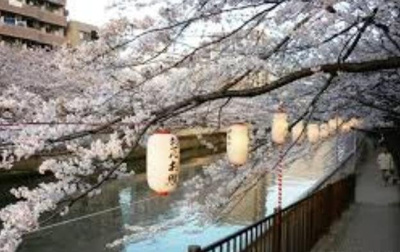 【周辺】 | アジュールテラス門前仲町