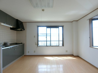 【居間・リビング】 | ドレミファ荘 | イメージ205号室の写真