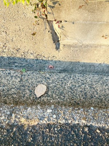 北九州市八幡西区大畑町　中古戸建のその他|境界標