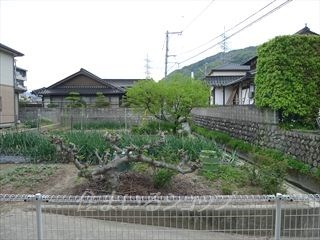 エモーション　C棟の展望|募集のお部屋（102号室）からの眺望です！