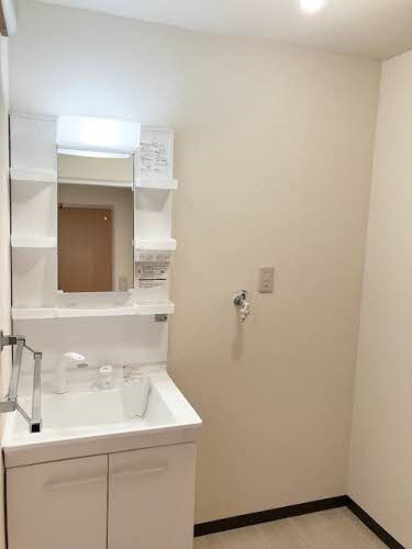 エモーション　C棟の洗面所|シャンプードレッサー