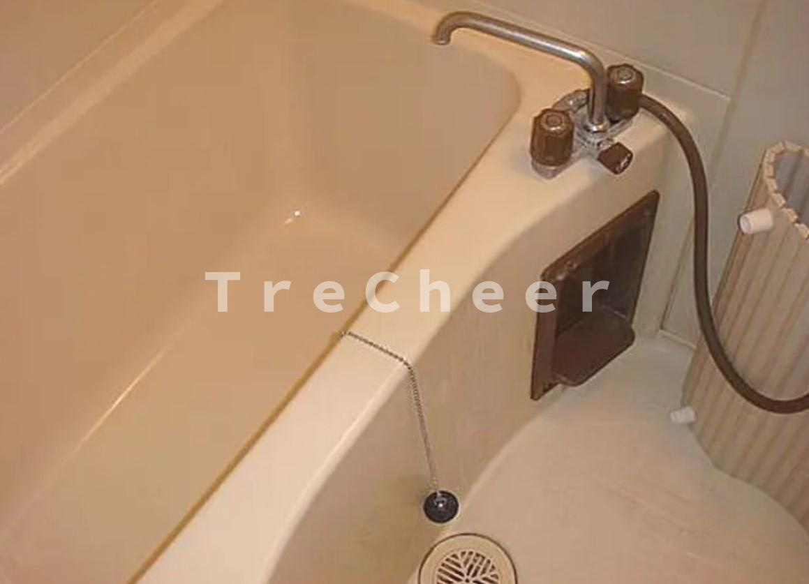 コーポ豊田の浴室