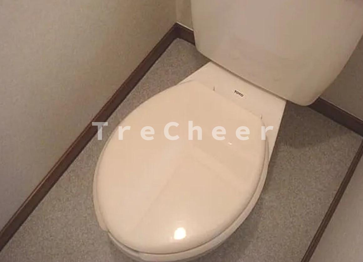 コーポ豊田のトイレ