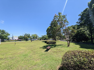 【周辺】 | 落合南公園まで徒歩２分