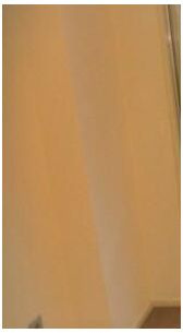 ハイランド赤尾