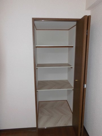 プラザハイツ二ツ屋F棟の収納