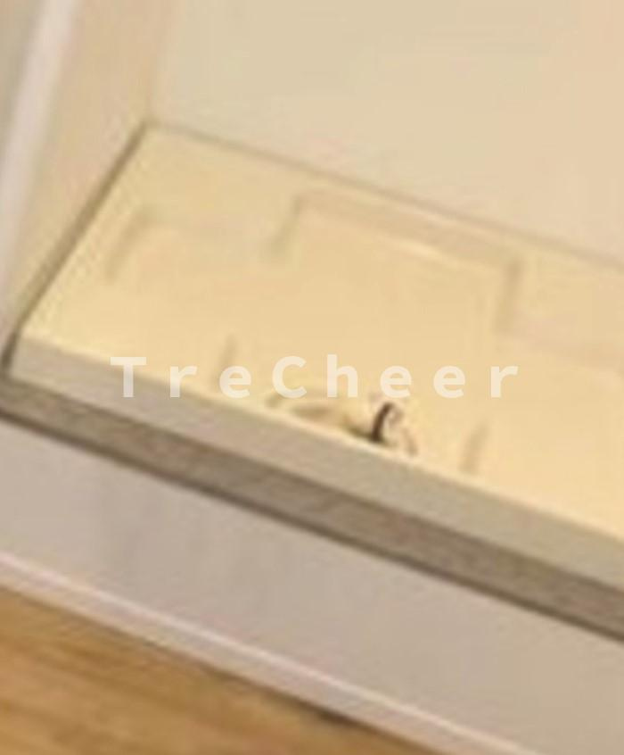 Ludens東新町の設備