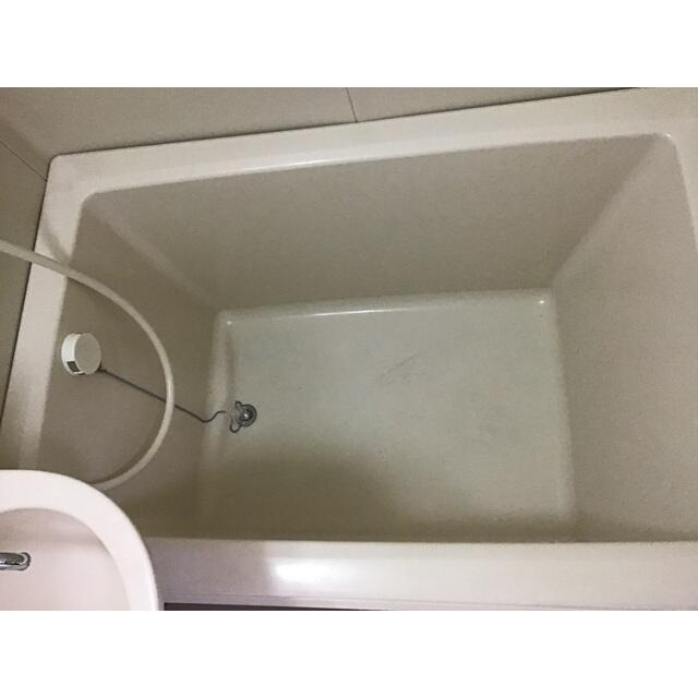 川崎市多摩区菅稲田堤２丁目の賃貸マンションの浴室|※他部屋参考写真